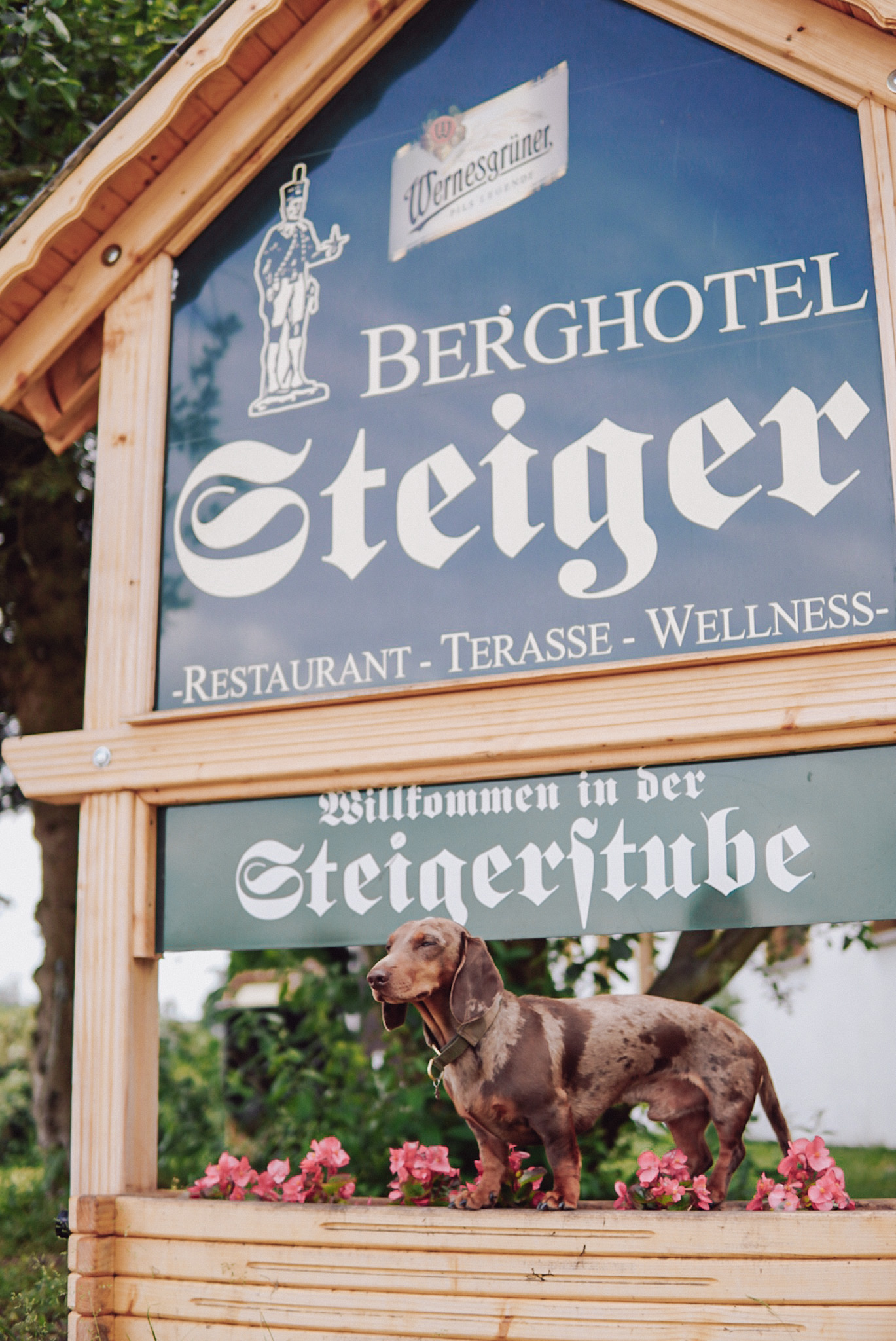 Berghotel Steiger - Arno