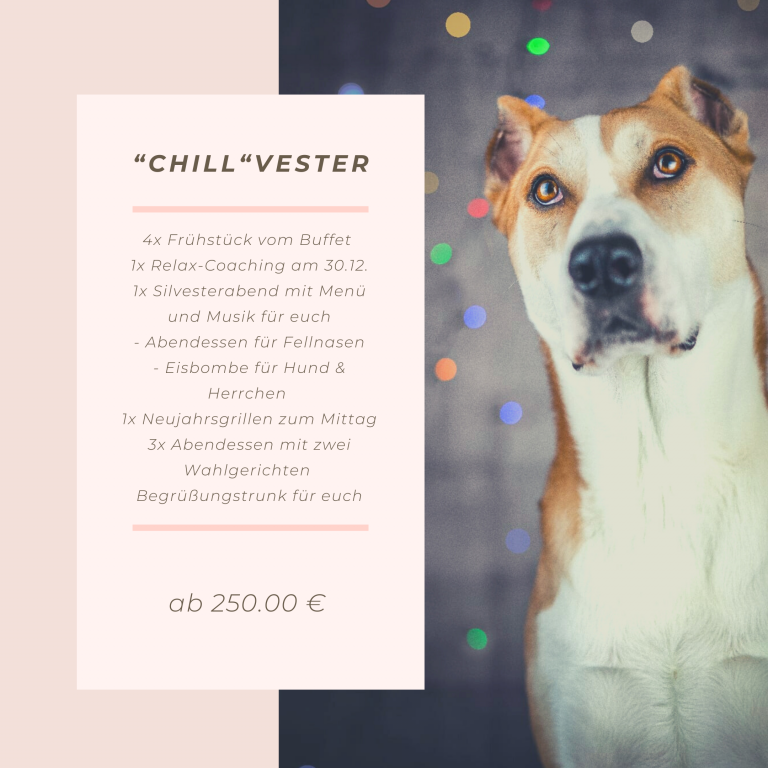 Silvester 2022 Urlaub mit Hund Berghotel Steiger