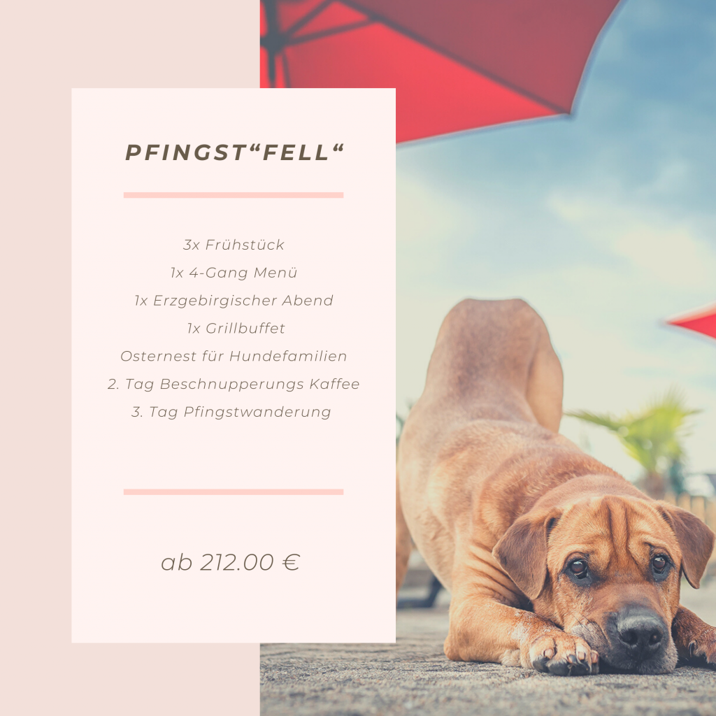 Pfingsten 2022 Urlaub mit Hund berghotel Steiger